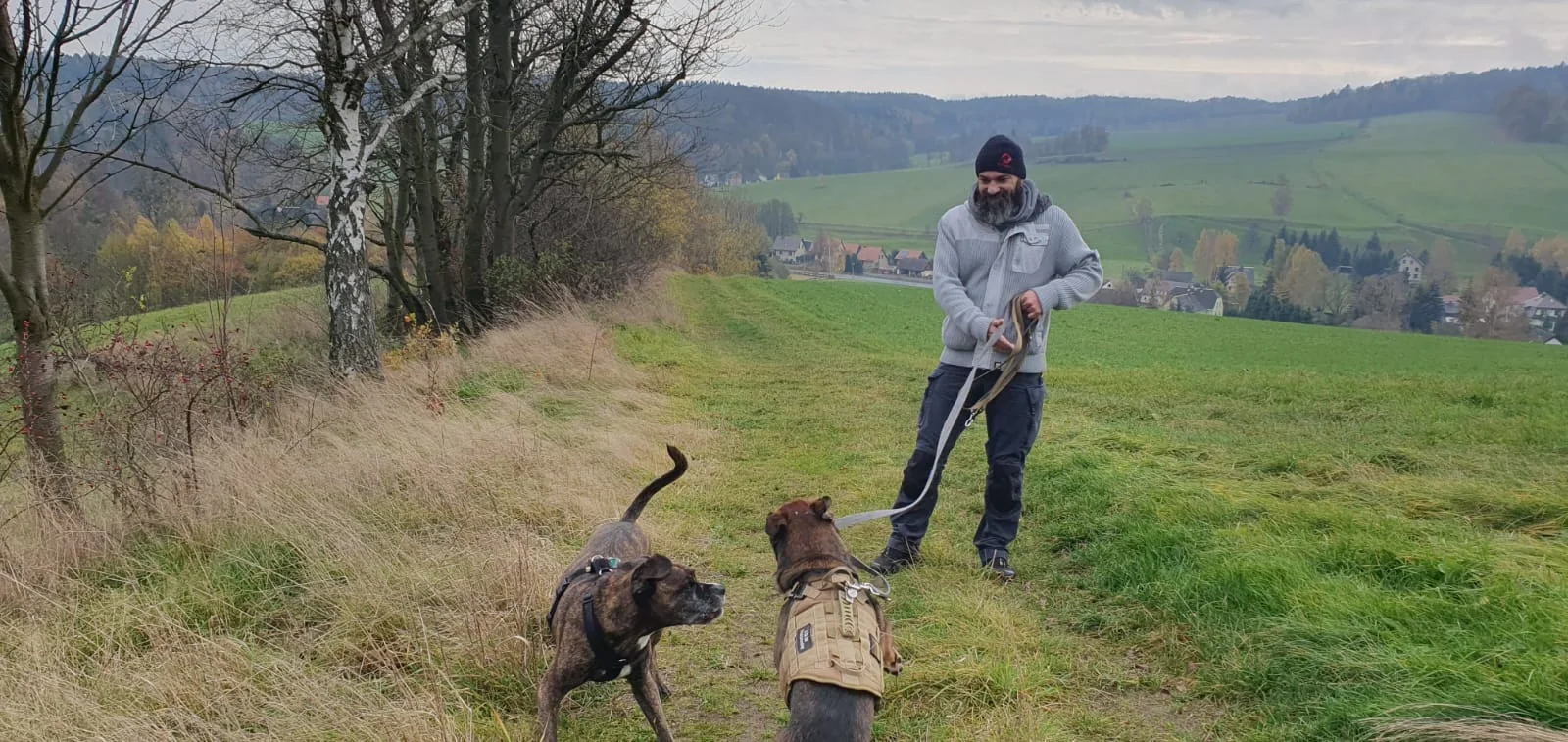 Entlastung & Haustiere